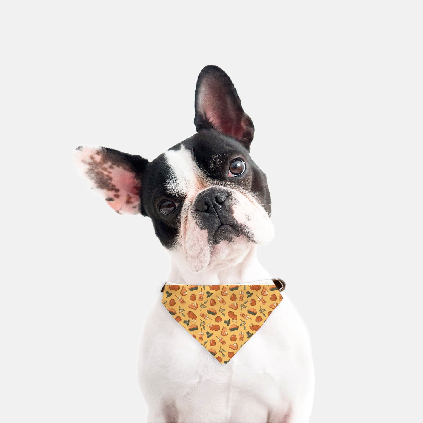 Thanksgiving Dinner Collar Pet Bandana (Sm & Med)