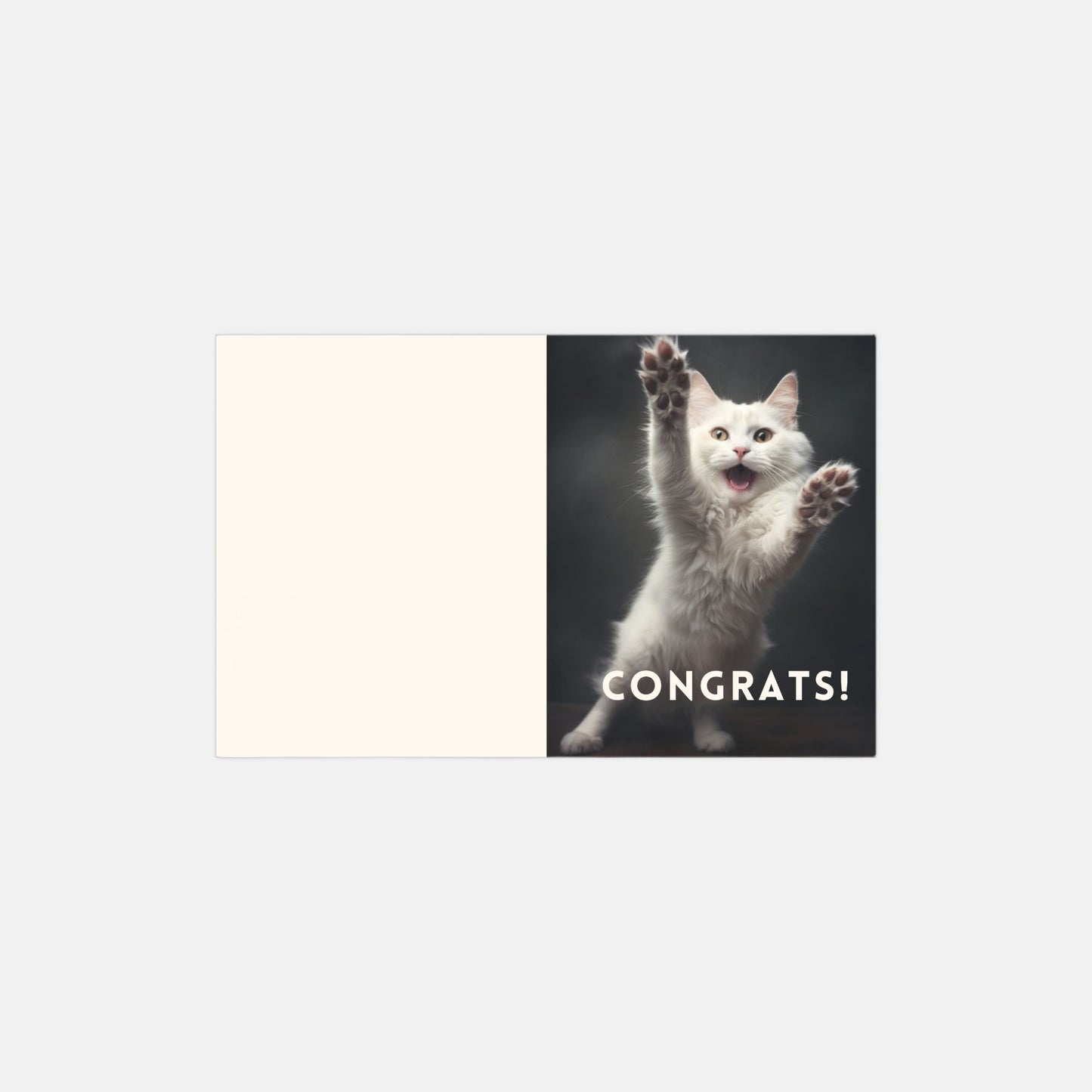 Kitten Congratulations Cards - 10 pack