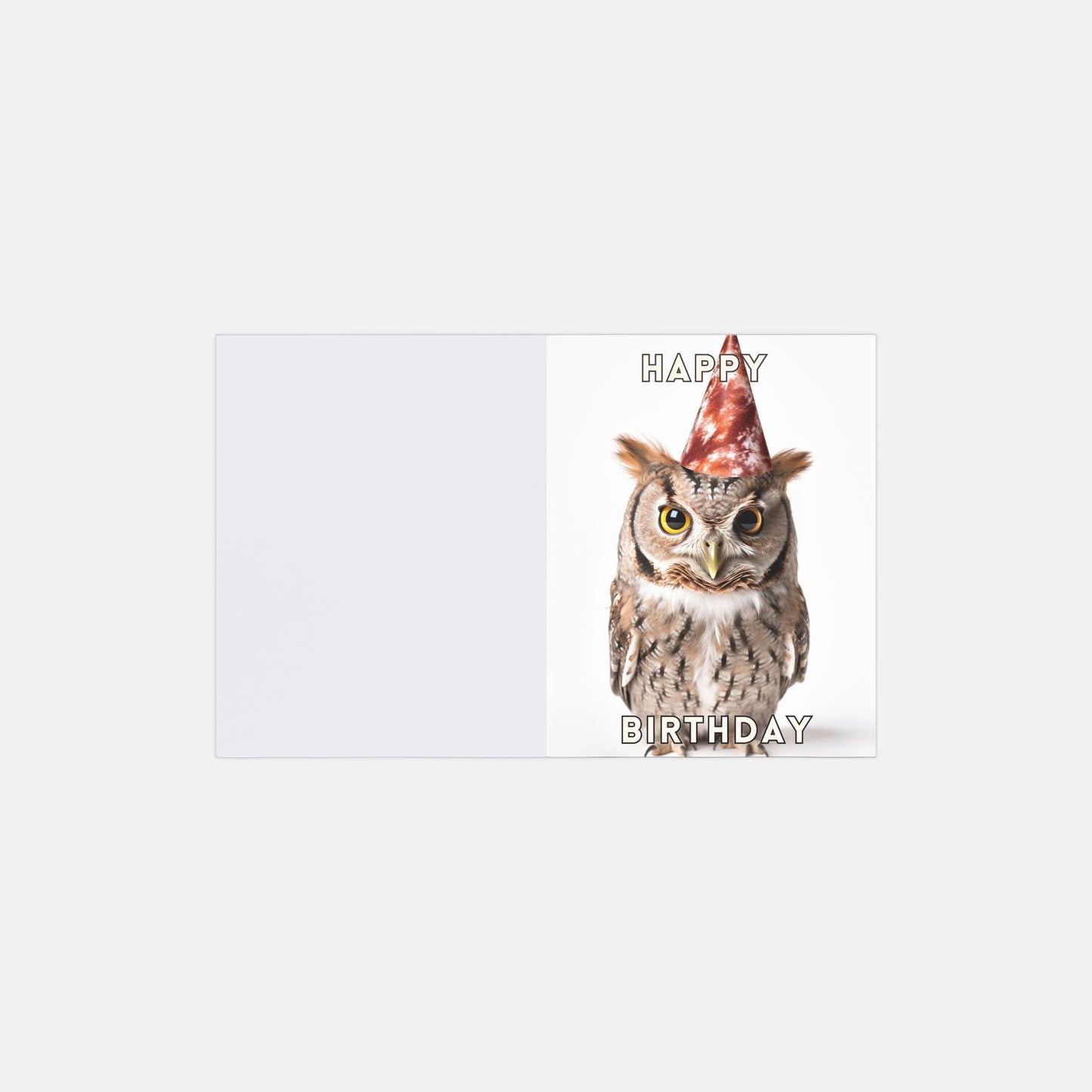 Owl Birthday Cards - 10 pack