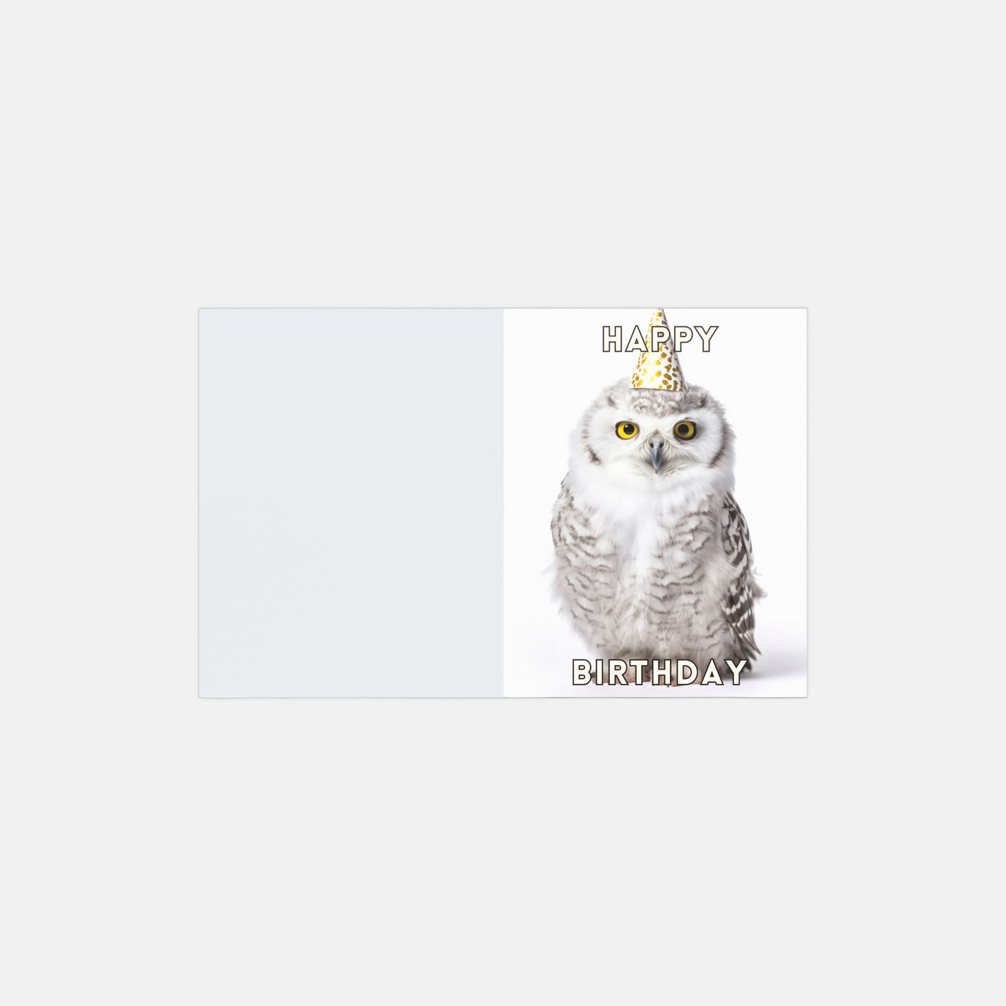 Owl Birthday Cards - 10 pack
