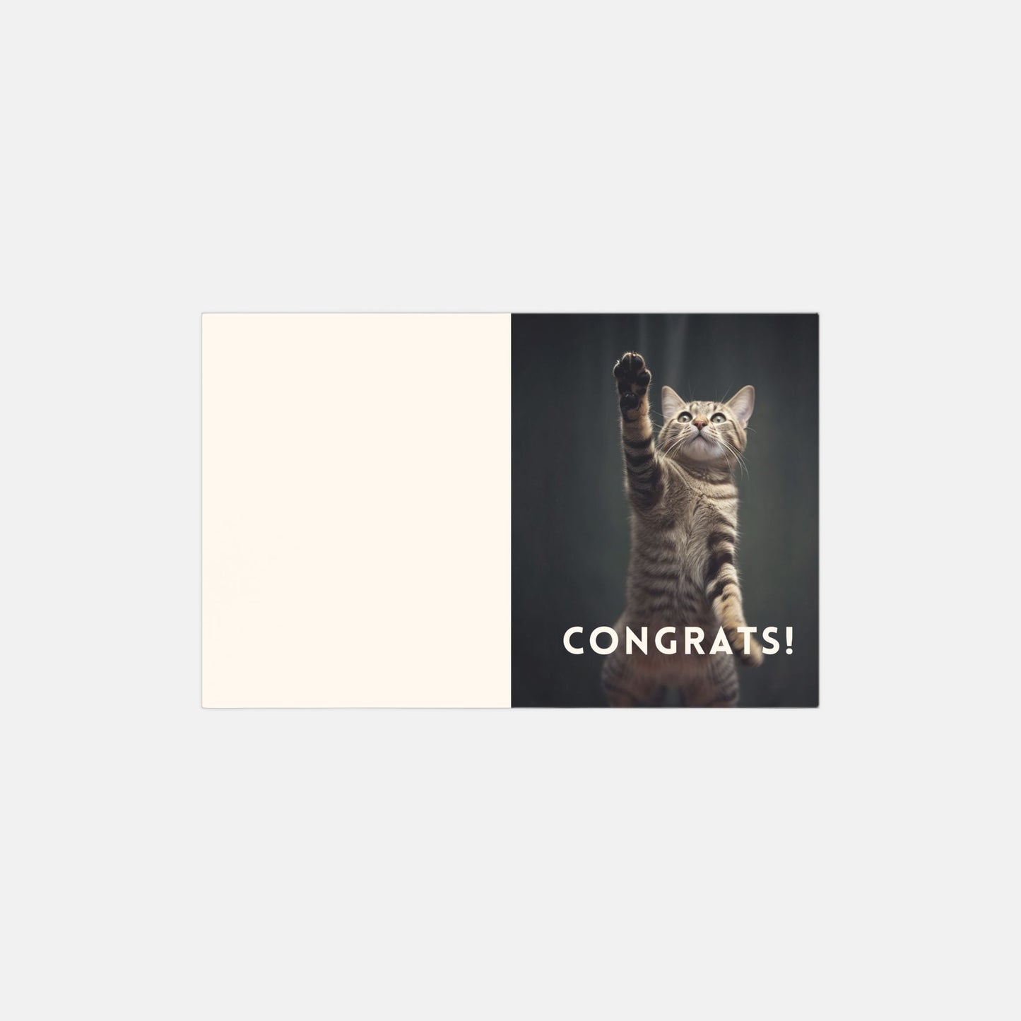 Kitten Congratulations Cards - 10 pack