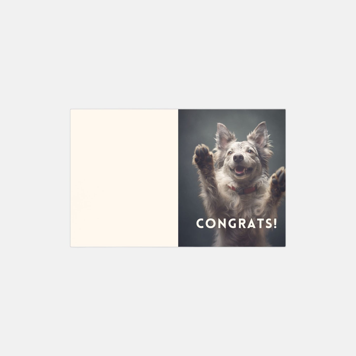 Dog Congratulations Cards - 10 pack