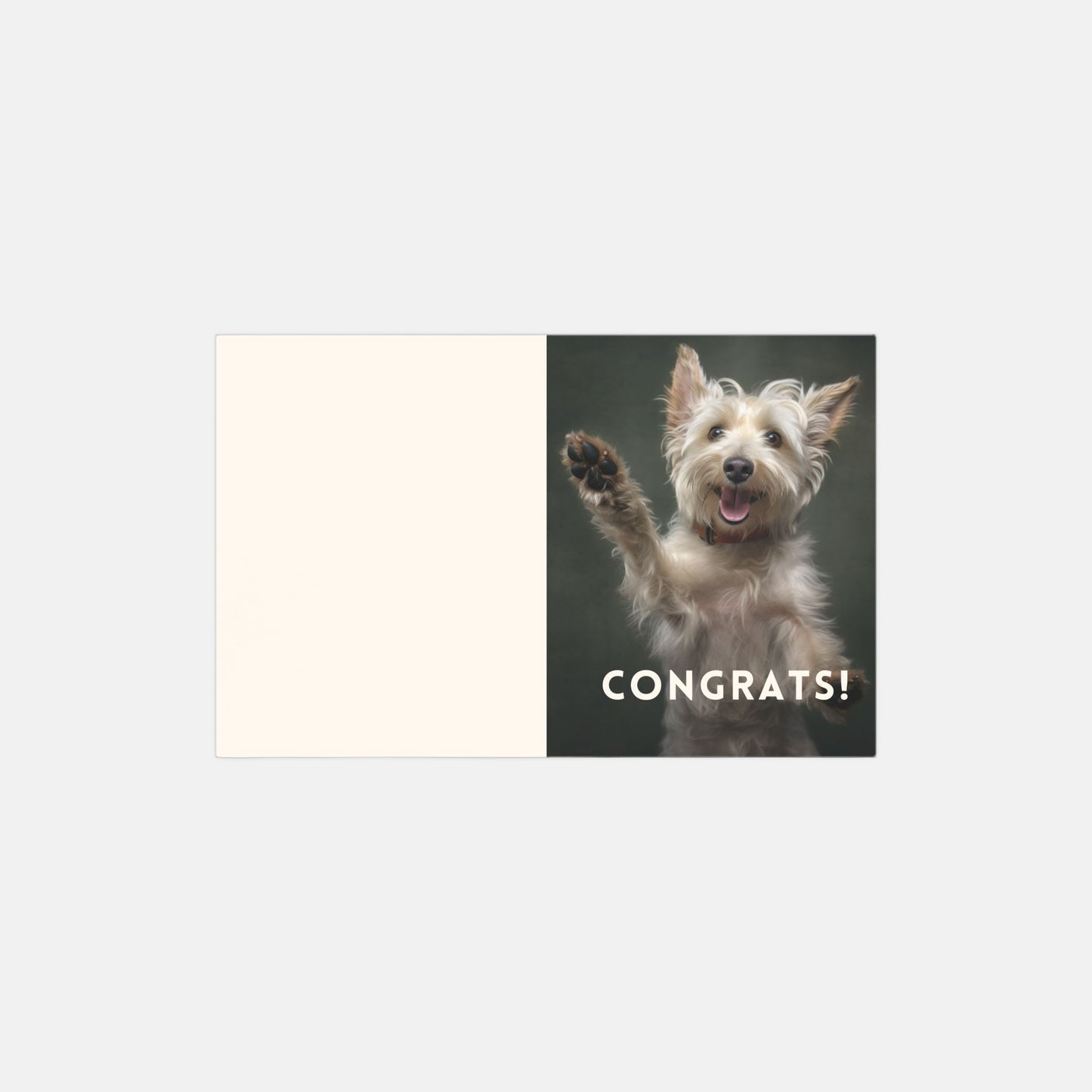 Terrier Congratulations Cards - 10 Pack